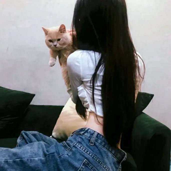 纽约小匪战黑帮
